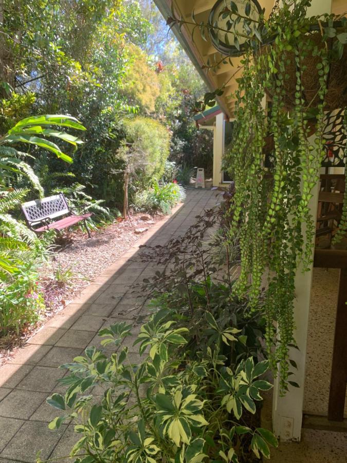 Kookaburra Motel Yungaburra Extérieur photo