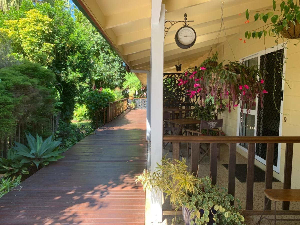 Kookaburra Motel Yungaburra Extérieur photo