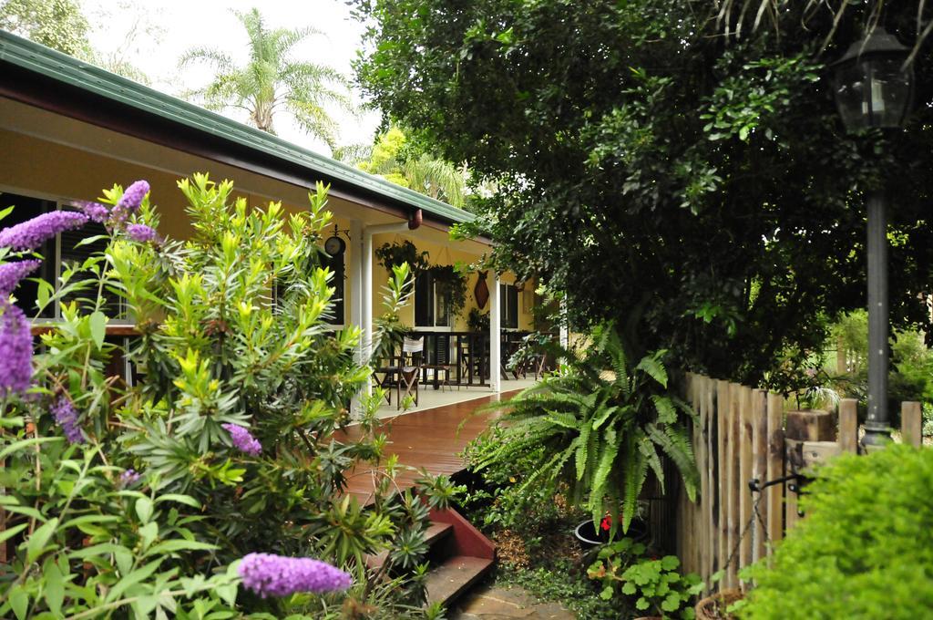 Kookaburra Motel Yungaburra Extérieur photo