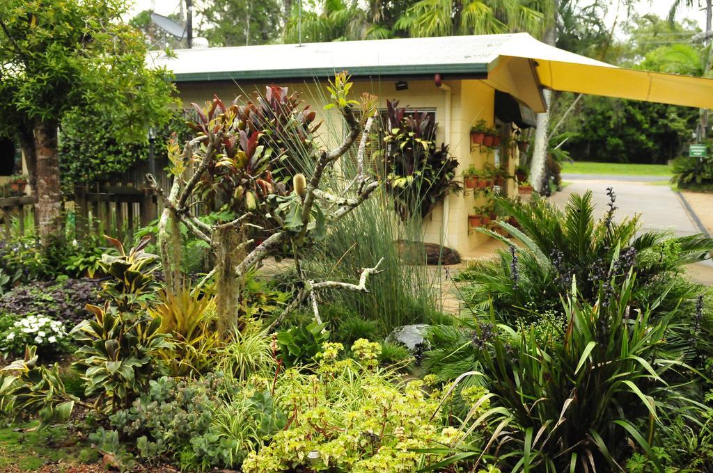 Kookaburra Motel Yungaburra Extérieur photo