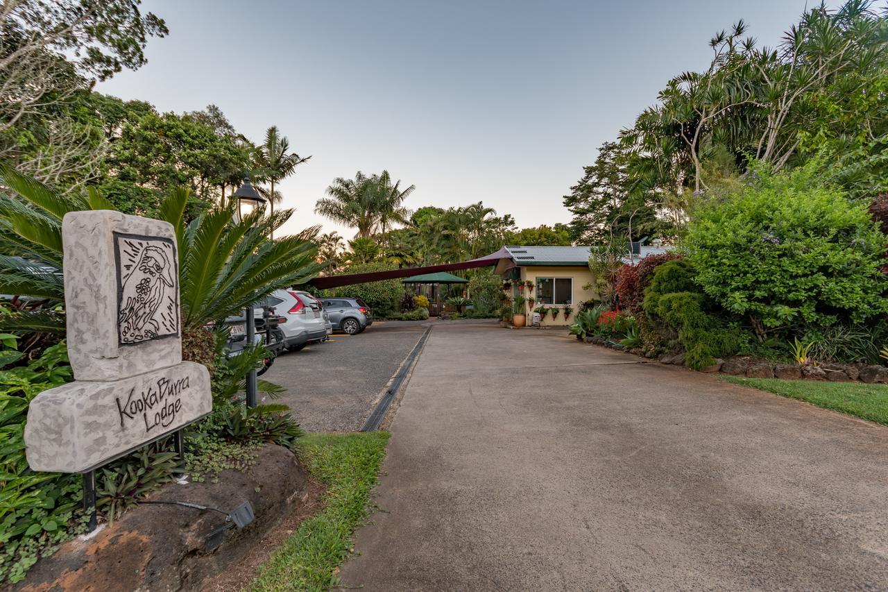 Kookaburra Motel Yungaburra Extérieur photo